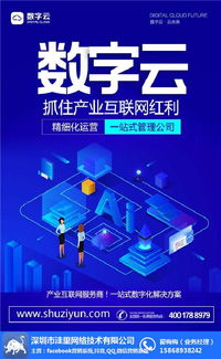 數(shù)字文化創(chuàng)意軟件開發(fā)新紀(jì)元 武漢數(shù)字云芯片辦公軟件的爆粉技巧解析